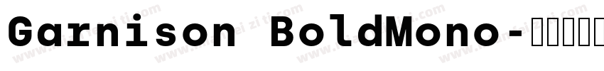 Garnison BoldMono字体转换
